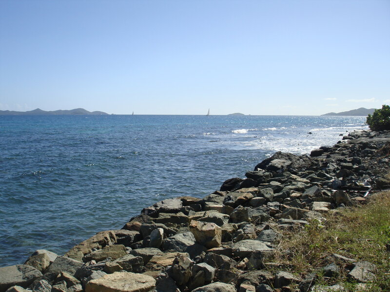 Rocky Shoreline and Ocean