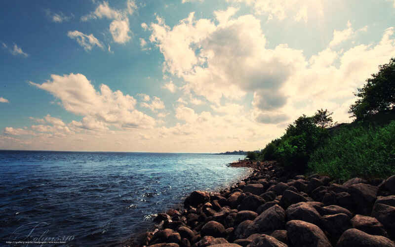 Rocky Shoreline and Sea
