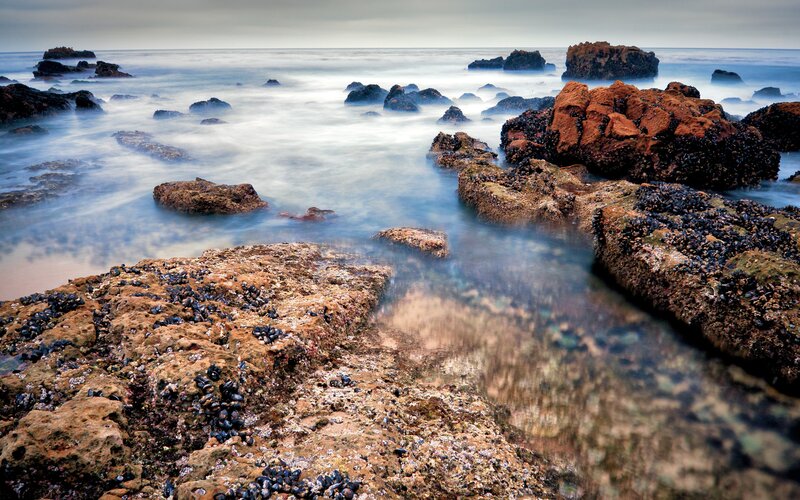 Rocky Shoreline at Coast — Brown, Calm