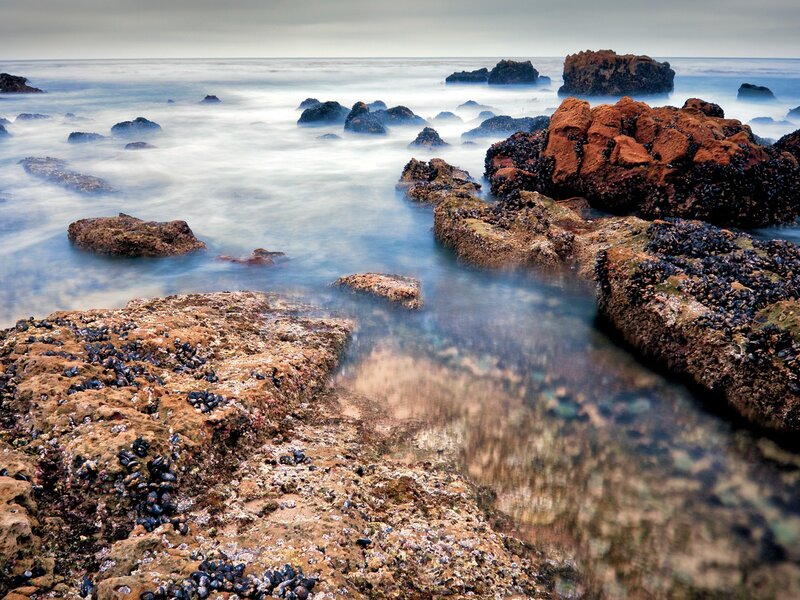 Rocky Shoreline at Coast — Brown, Serene, Photograph