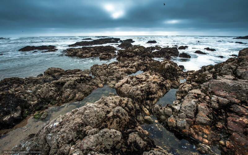 Rocky Shoreline at Coast — Gray, Dramatic