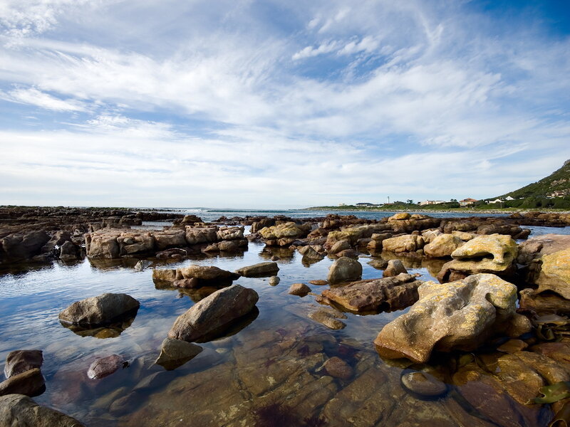 Rocky shoreline at coastal inlet