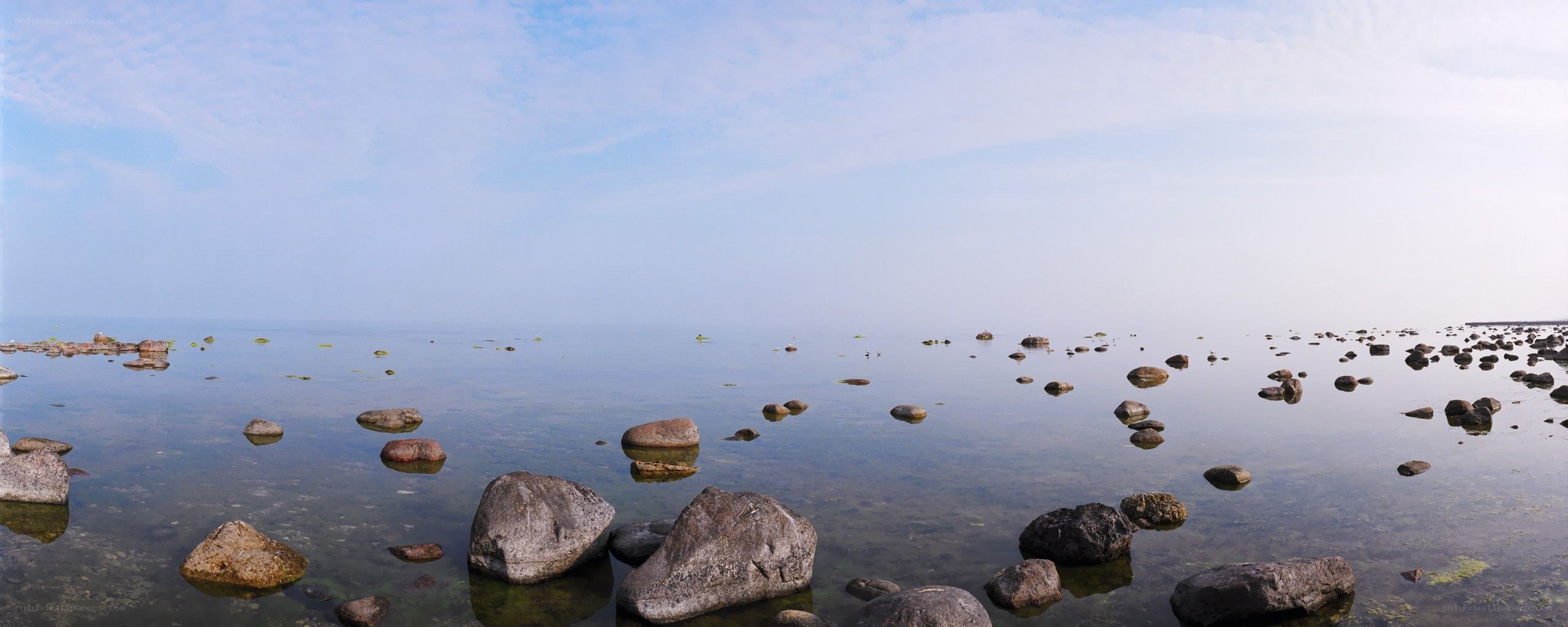Rocky shoreline at dawn