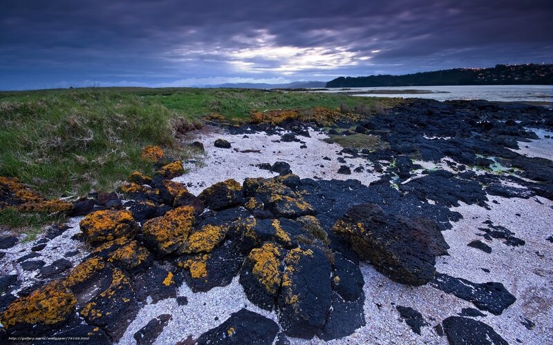 Rocky Shoreline at Dusk — Black, Dramatic