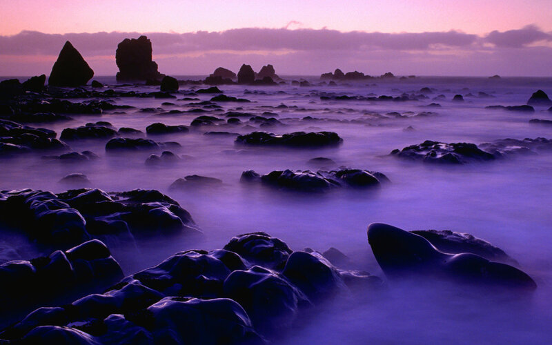 Rocky Shoreline at Dusk — Purple, Serene, Sunset, Photograph