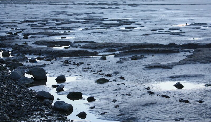 rocky shoreline at low tide
