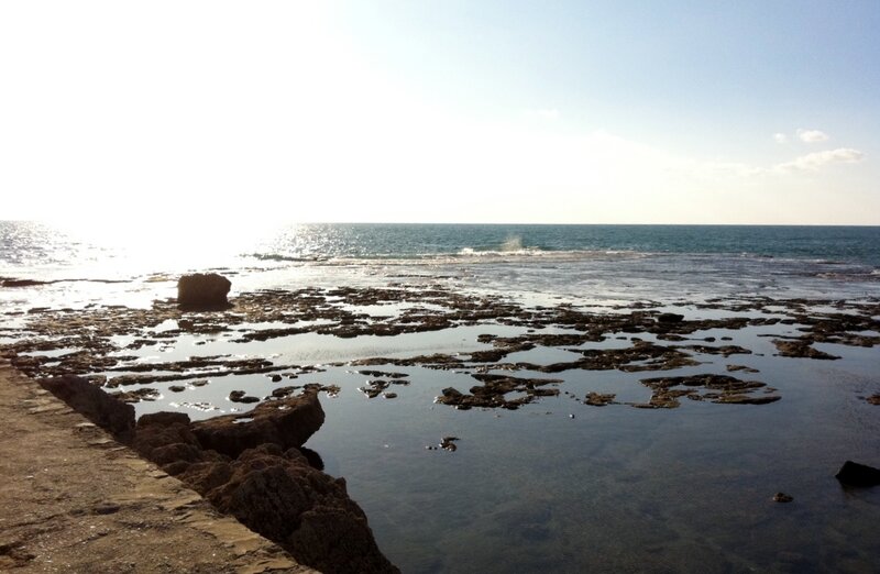 Rocky Shoreline at Low Tide — Blue, Calm