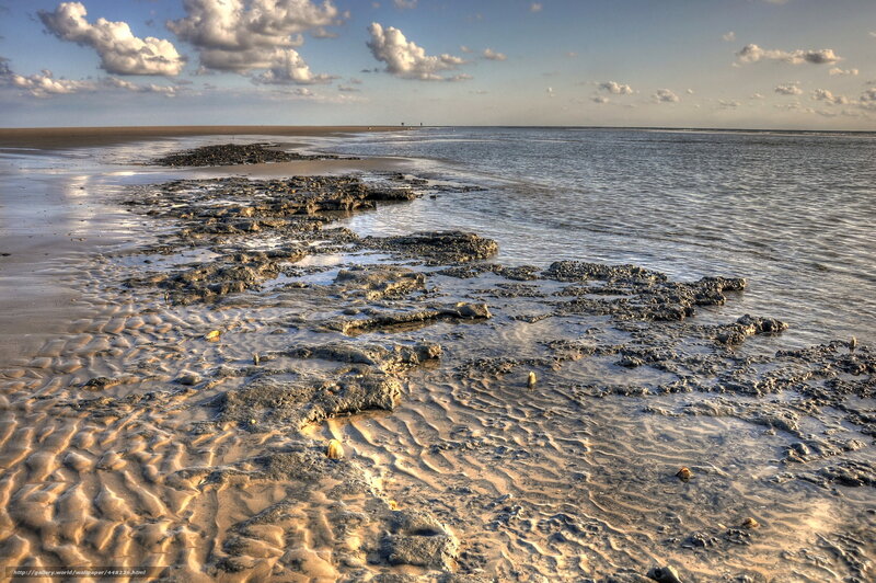 Rocky Shoreline at Low Tide — Blue