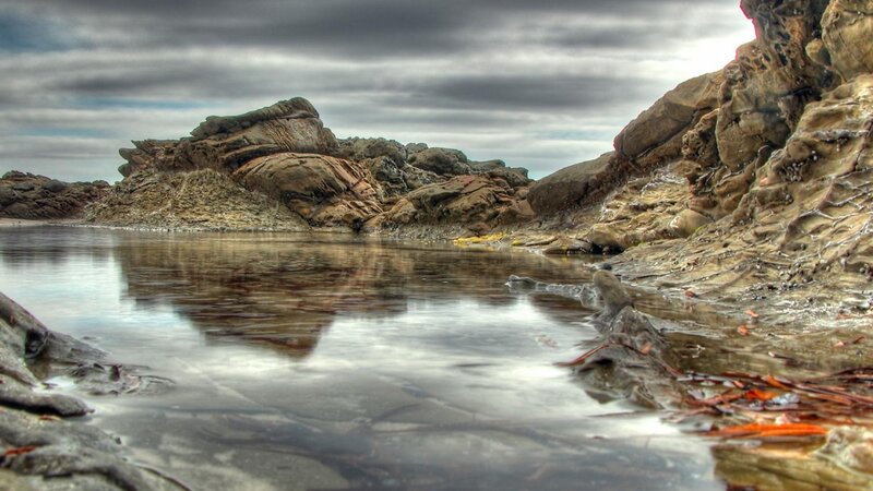 Rocky Shoreline at Low Tide — Gray, Dramatic, Photograph