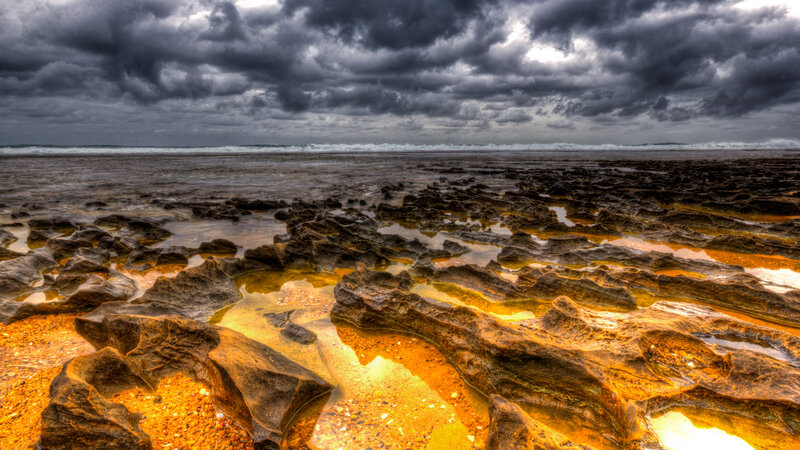 Rocky Shoreline at Low Tide — Gray