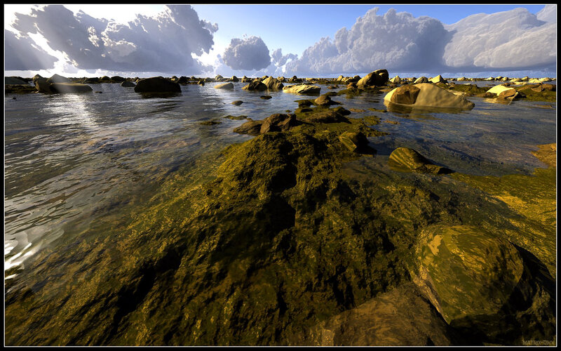 Rocky Shoreline at Low Tide — Green