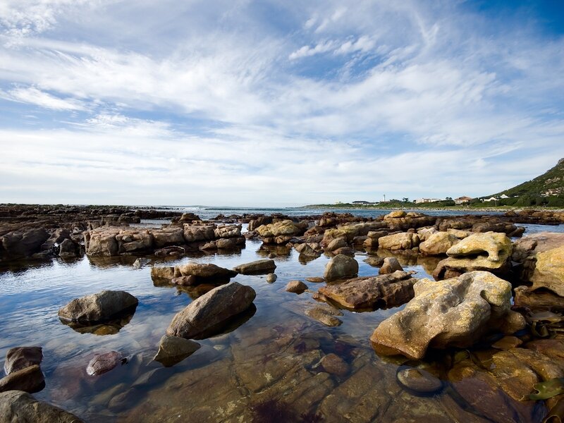 Rocky shoreline at low tide