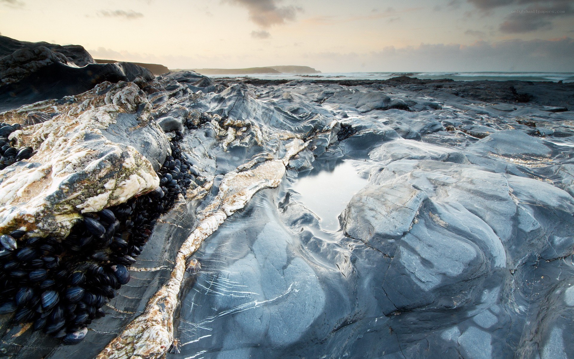 Rocky shoreline at sunset