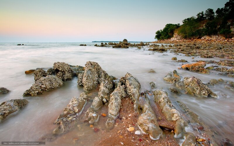 Rocky shoreline at sunset