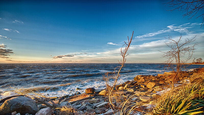 Rocky Shoreline at Sunset — Blue, Serene, Photograph, Bare Tree