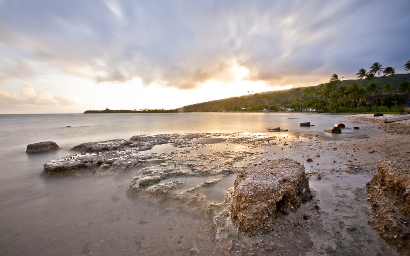 Rocky Shoreline at Sunset — Blue, Serene, Photograph, Ocean, Palm Trees