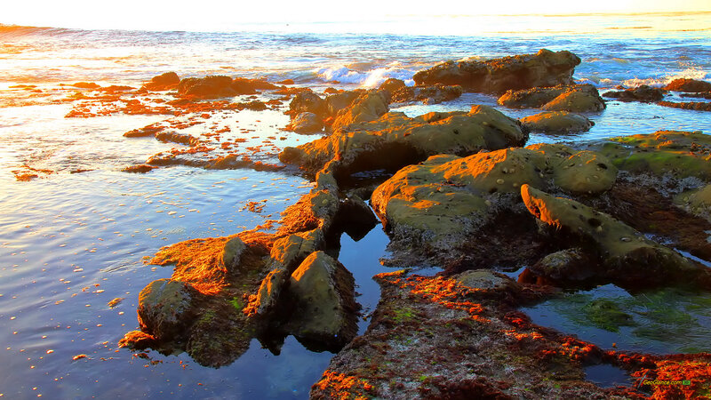 Rocky Shoreline at Sunset — Blue, Serene, Photograph, Rocks, Ocean, Sunlight