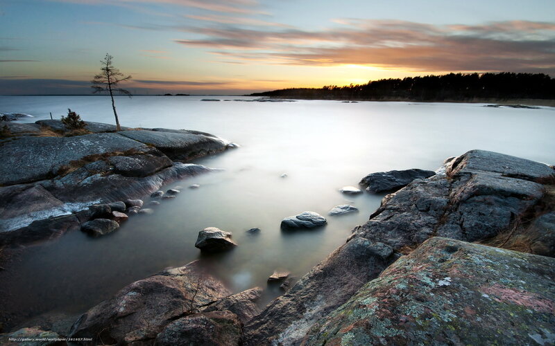 Rocky Shoreline at Sunset — Blue, Serene, Photograph, Tree