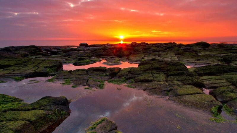 Rocky Shoreline at Sunset — Orange, Dramatic, Photograph, Sun, Ocean, Moss