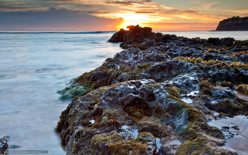 Rocky Shoreline at Sunset — Orange, Serene, Photograph, Rocks, Ocean, Sun