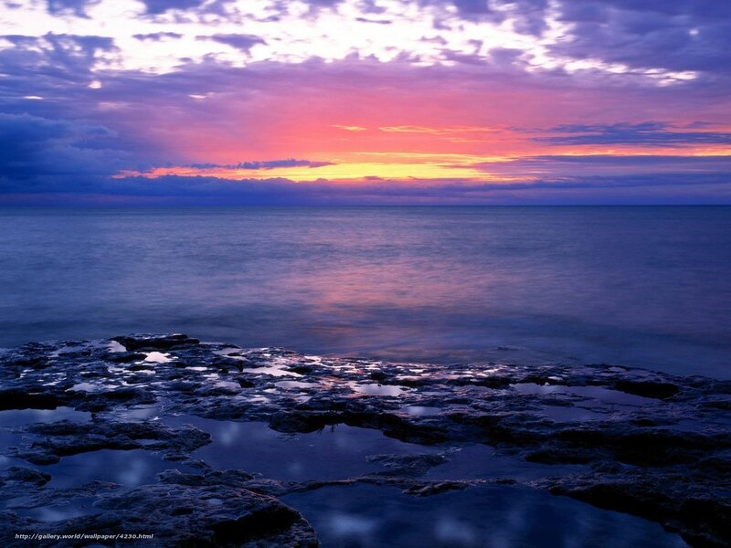 Rocky Shoreline at Sunset — Purple