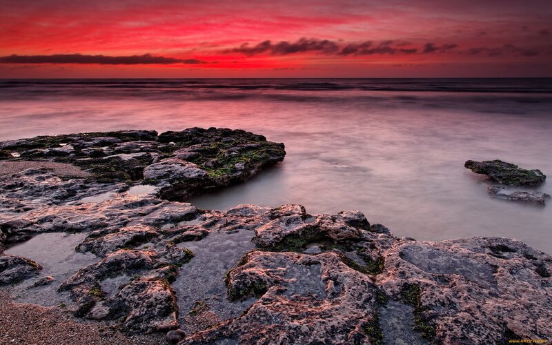 Rocky Shoreline at Sunset — Red, Dramatic, Photograph, Rocks, Ocean, Sky