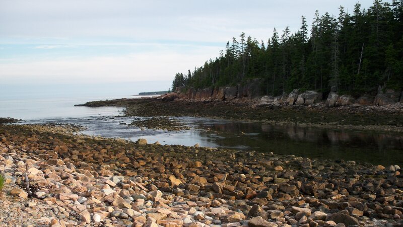 Rocky Shoreline — Brown