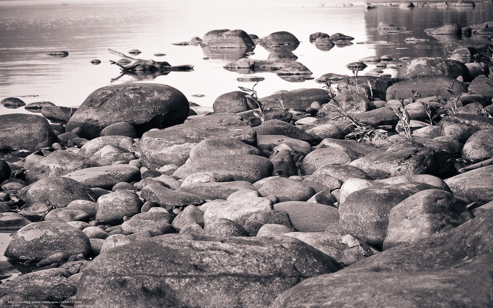 Rocky shoreline by calm water