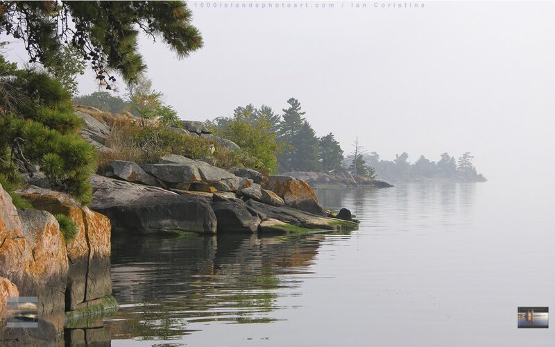 Rocky Shoreline in Fog