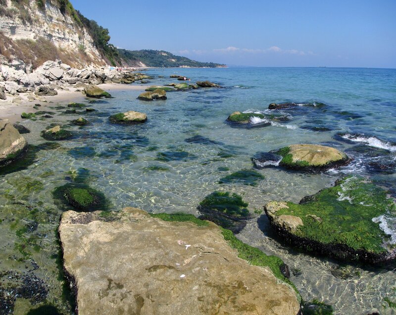 Rocky Shoreline with Algae — Blue
