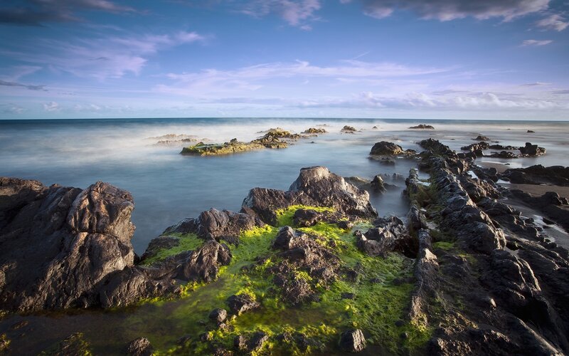 Rocky Shoreline with Algae