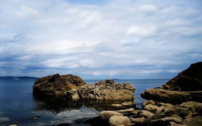 Rocky shoreline with distant ship