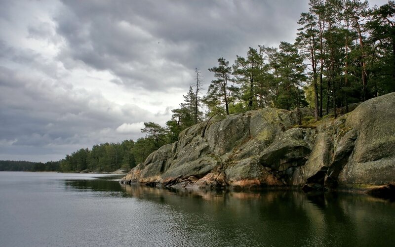 Rocky shoreline with forest and lake