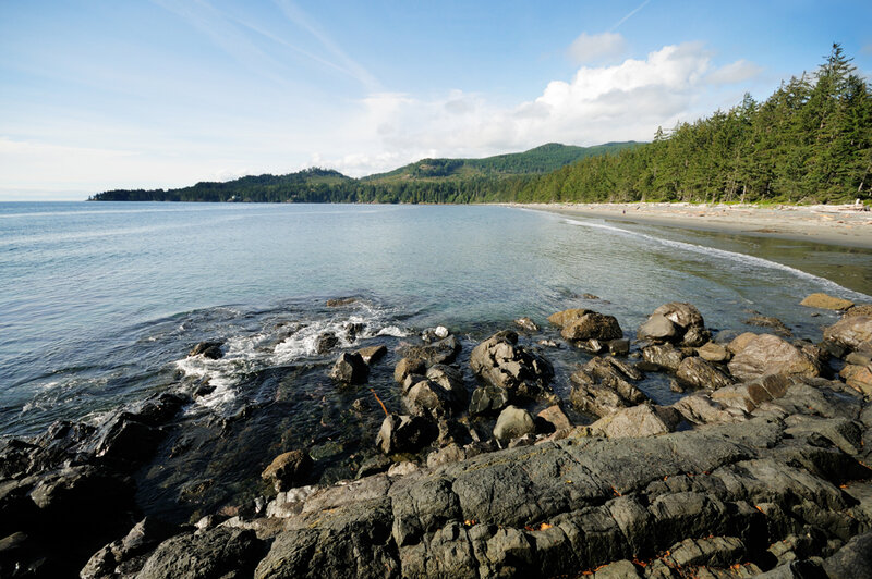 Rocky Shoreline with Forest — Blue