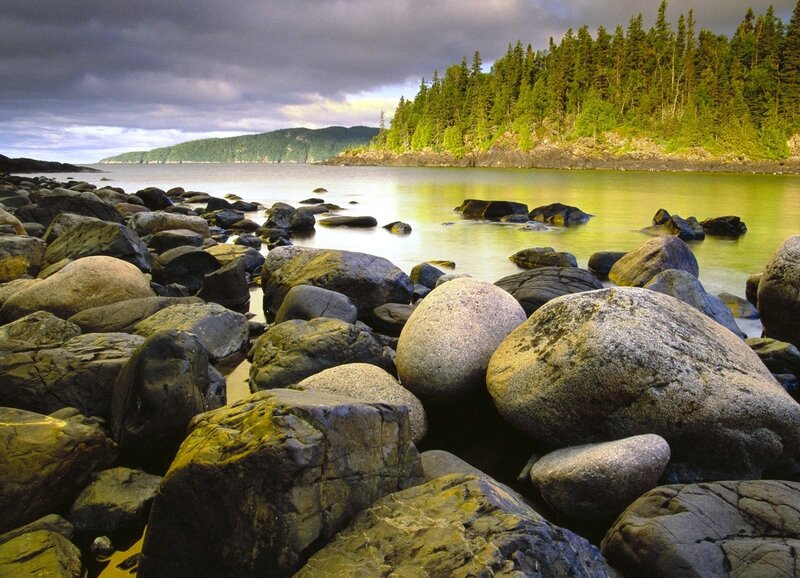 Rocky Shoreline with Forest