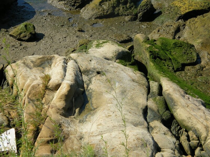 Rocky Shoreline with Moss — Green