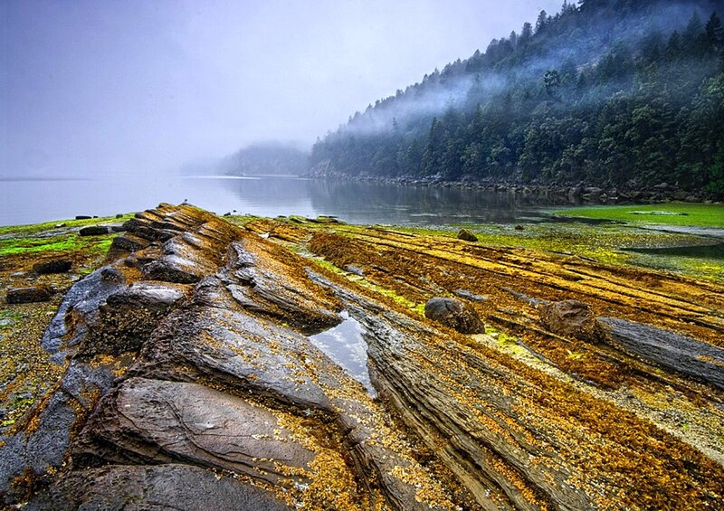 Rocky Shoreline with Moss