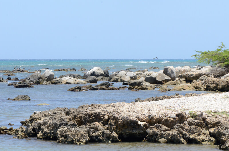 Rocky Shoreline with Ocean — Blue