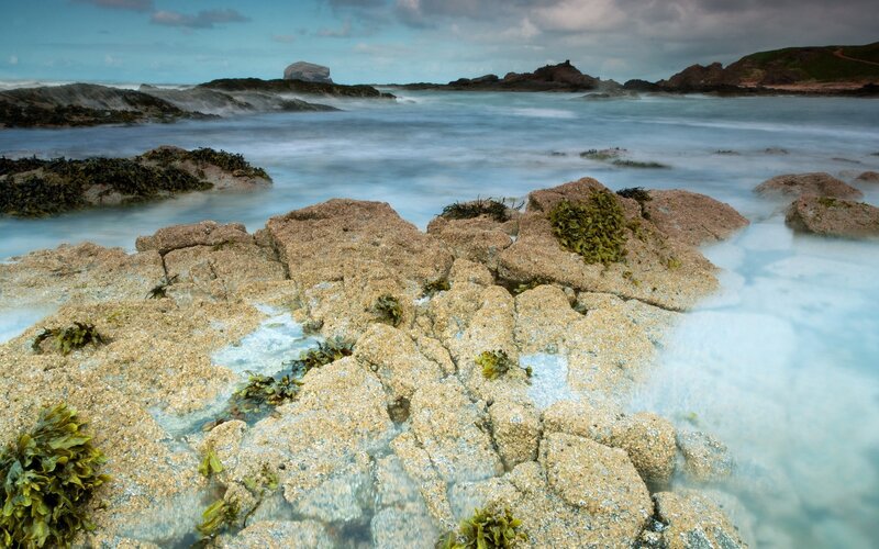 Rocky Shoreline with Seaweed — Blue, Serene