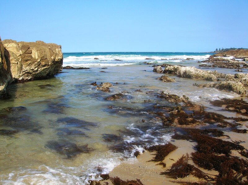 Rocky Shoreline with Seaweed