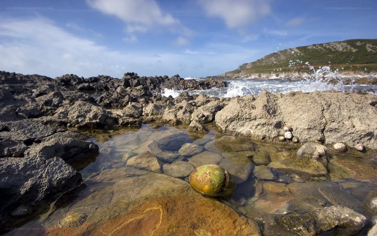 rocky shoreline with tide pool