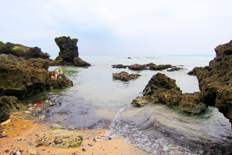 Rocky Shoreline with Tide Pools
