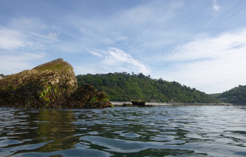 Rocky Shoreline with Trees — Blue, Serene