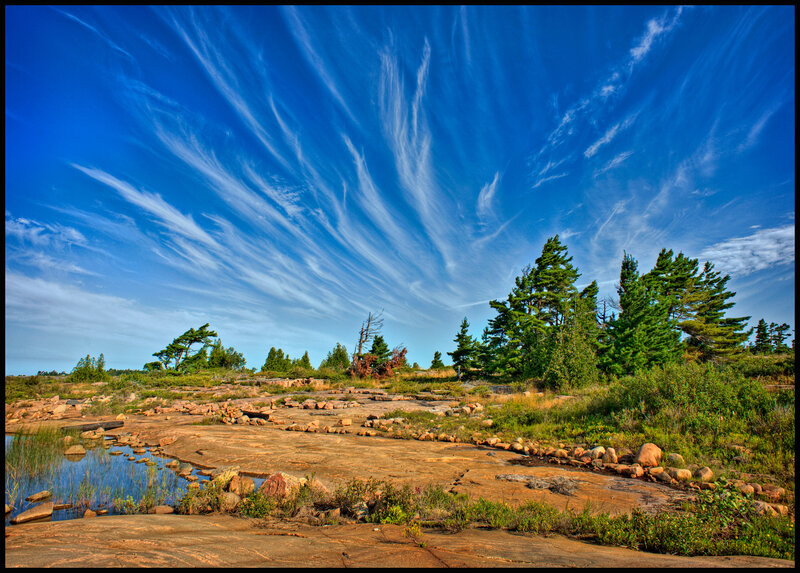 Rocky Shoreline with Trees — Blue