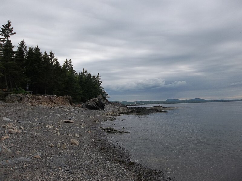 Rocky Shoreline with Trees — Gray