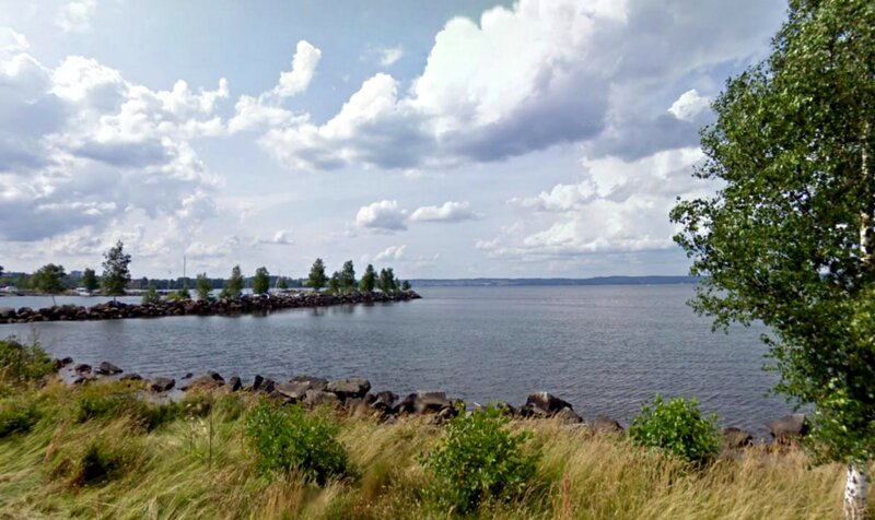 Rocky Shoreline with Trees