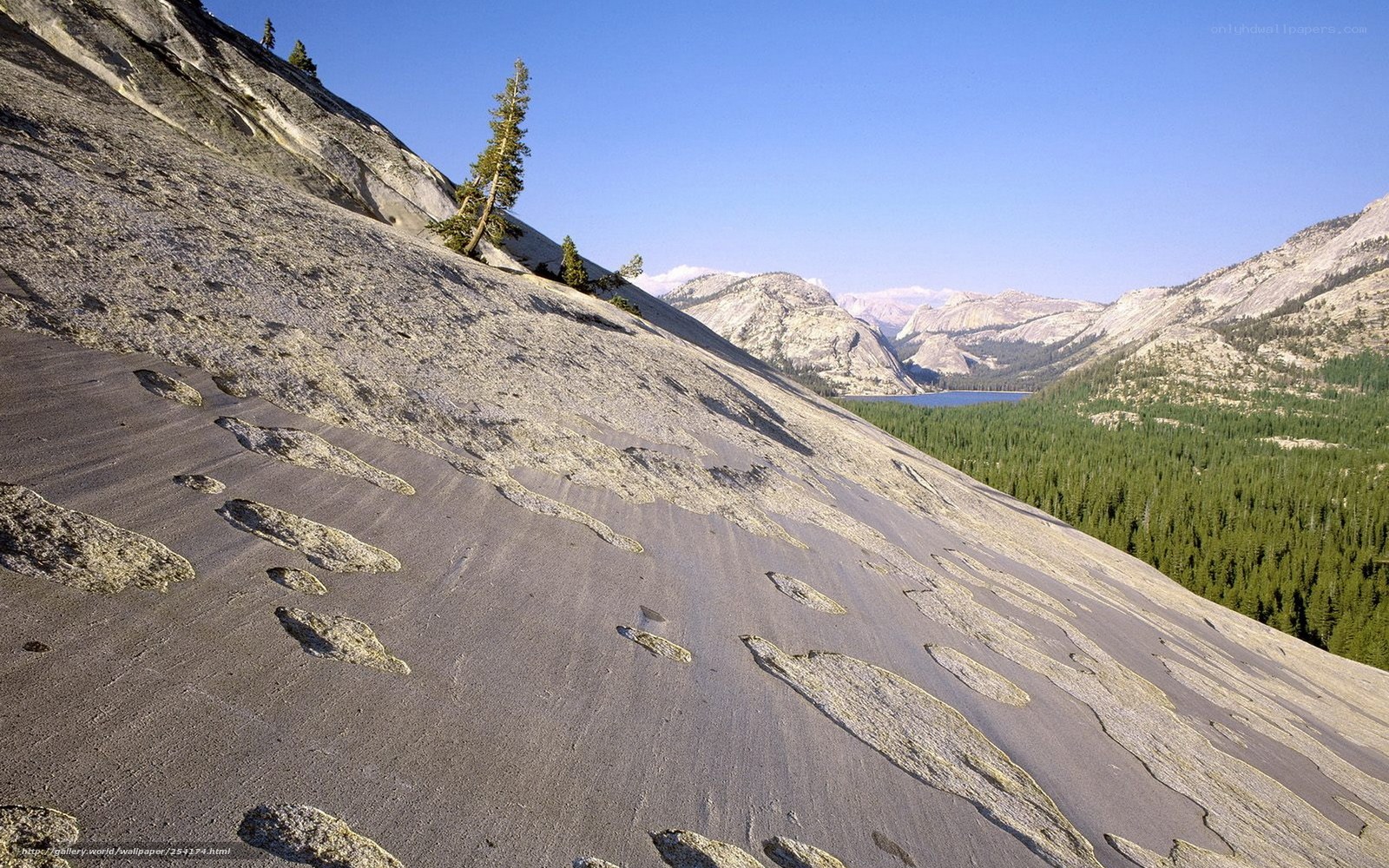 Rocky slope with forest valley