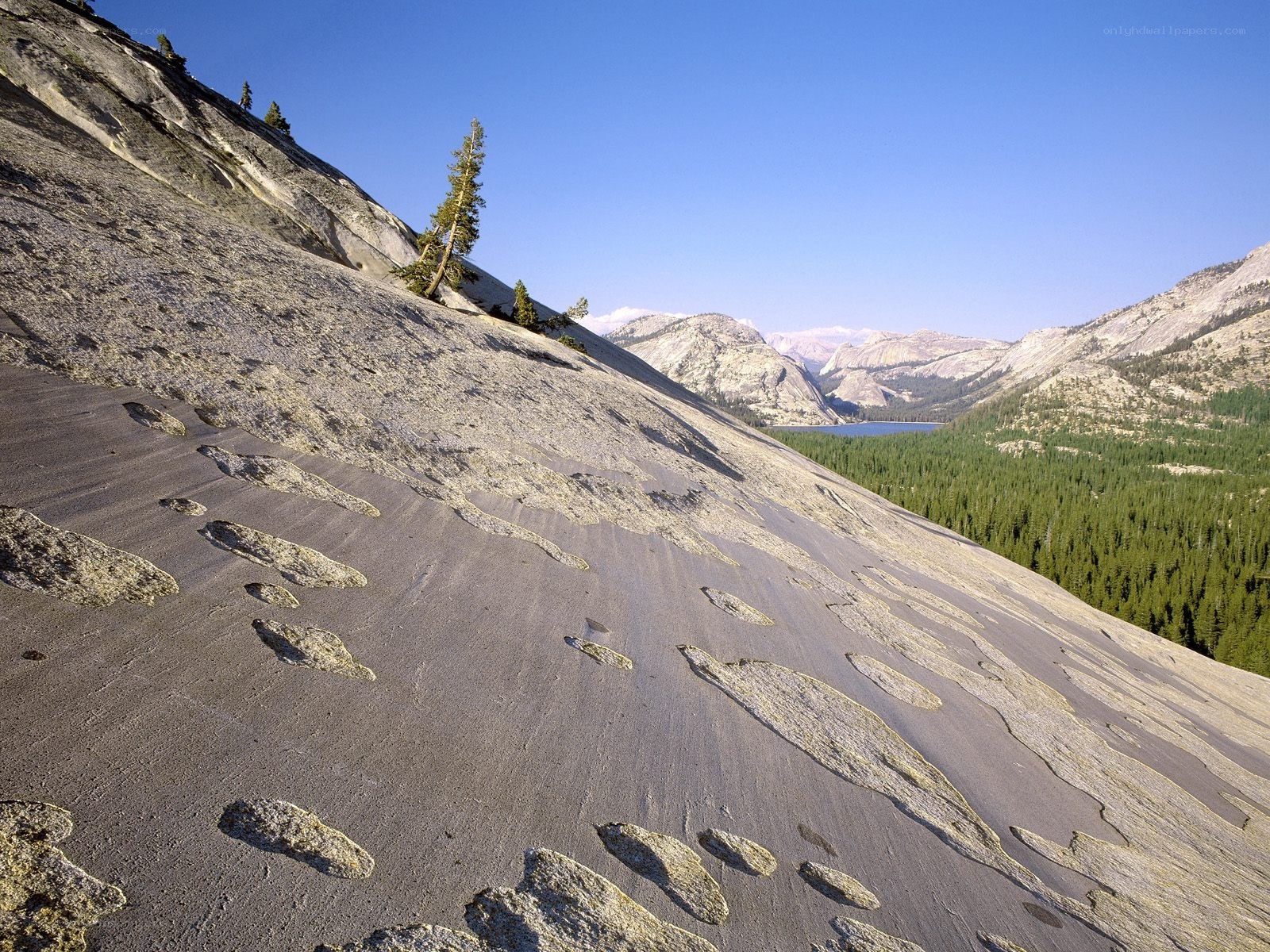 Rocky slope with forest view