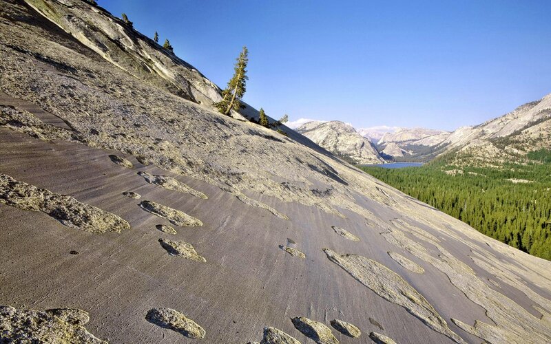 Rocky Slope with Trees