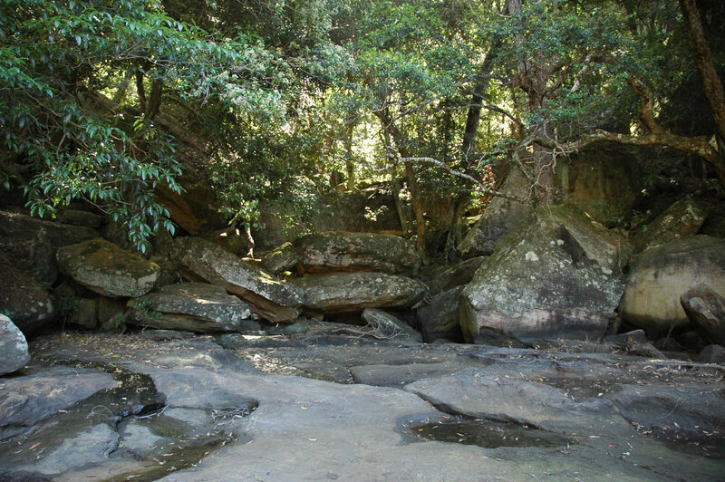 Rocky Stream Bed in Forest